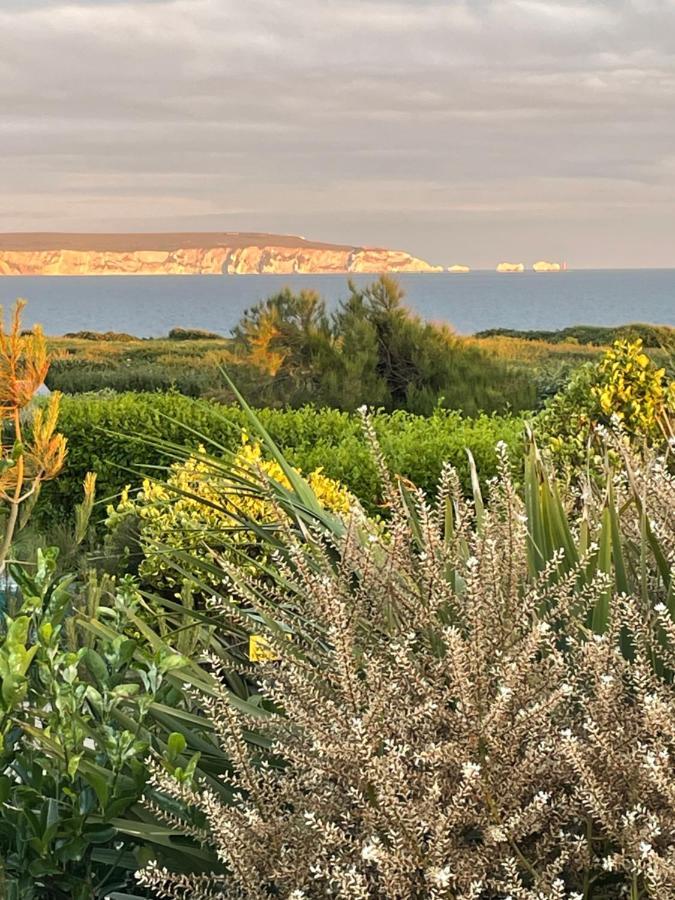 Cliff Top Garden Room Milford on Sea Dış mekan fotoğraf